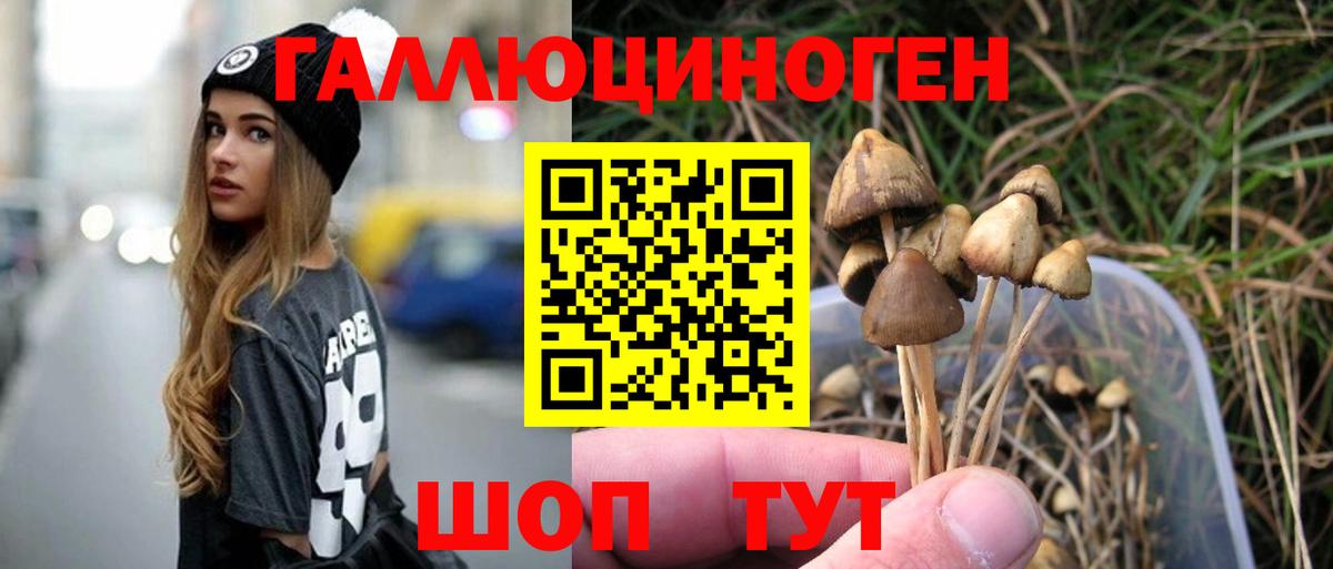 Галлюциногенные грибы Cubensis Бахчисарай