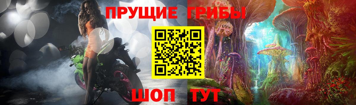 Галлюциногенные грибы GOLDEN TEACHER  Вход с VPN  Псилоцибиновые грибы прущие грибы  Бахчисарай 